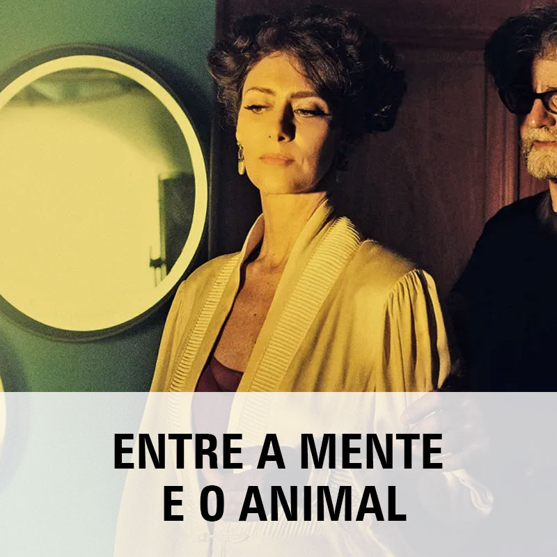 Entre a Mente e o Animal